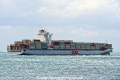 OOCL Australia OS-061019-12.jpg