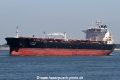 Tian E Zuo SH-180716-01.jpg