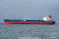 Torea OS-221017-04.jpg