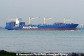 Niledutch Leopard (MS-S-231012-5).jpg