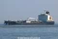 Oriental Tulip TL-310321-2.jpg