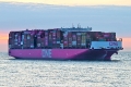 ONE Strength OS-220626-12.jpg