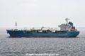 Orchid Sylt JG-250622-1.jpg