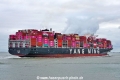 YM Tiptop (OK-220825-4).jpg