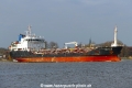 Oriole (OK-050324-2).jpg