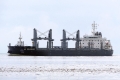 La Solognais (KK-130716-1).jpg