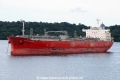 Patagonian Mystic (HP-021007-01).jpg