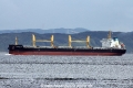 Lan Bao Hai (MS-020816-09).jpg