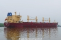 Lem Marigold (OK-170522-4).jpg