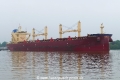 Lem Marigold (OK-170522-2).jpg