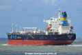 Pacific Gold (LW-200726-03).jpg