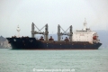 Lark (OK-280114-0).jpg
