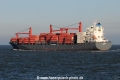 Nordisabella JG-111116-01.jpg