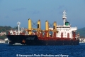 Lanna Naree (OK-091013-0).jpg