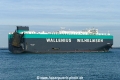 Thalatta (MB-191025-4).jpg