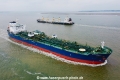 TRF Mobile TL-240621-2.jpg