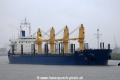 Lion OS-080115-04.jpg