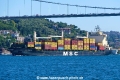 MSC Elbe III (OK-100926-1).jpg