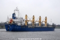 Lion OS-080115-14.jpg