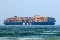 MSC Insa (MS-070825-10).jpg