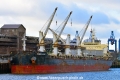 Tomini Alize (KB-D201125-02).jpg