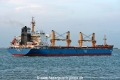 TBC Prestige (MM-150725-3).jpg
