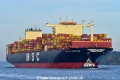 MSC Eleonore (KB-D031026-02).jpg