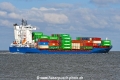 Pavo J JG-210726-3.jpg