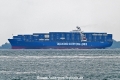 Panda 007 OS-171024-01.jpg