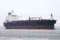 Unique Harmony (JS-190613-01).jpg