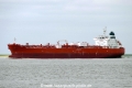 Vela (KK-150515-0).jpg