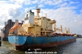 Lone Star (KB-D101016-08).jpg