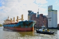 Lone Star (KB-D101016-11).jpg