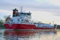 Ramanda (OK-240219-5).jpg
