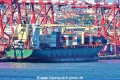 Port Gdynia TL-070626-2.jpg