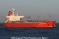 Walnut Express SH-221112-01.jpg