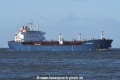 Voge Dignity JG-150323-1.jpg