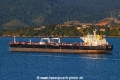 Portinari RV-300520-04.jpg