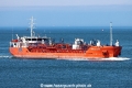 Pointe de Caux TL-230325-1.jpg