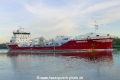Ramanda (OK-240219-2).jpg