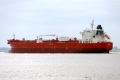 Vela (KK-150515-1).jpg