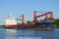 Stevie (LW-240822-05).jpg