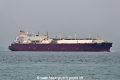 Rasheeda OS-131125-03.jpg