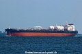 Proteus Sinead (MS-020825-02).jpg