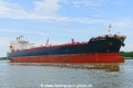 Yellow Stars (OK-160623-0).jpg