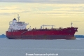 Zoilo (KK-130818-1).jpg