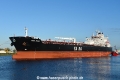 Yasa Swan OS-050920.jpg