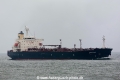 Zapphire (MM-260611-1).jpg
