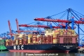 MSC San Francisco (KB-D010426-04).jpg