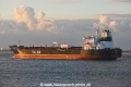 Yasa Swan OS-050920-20.jpg